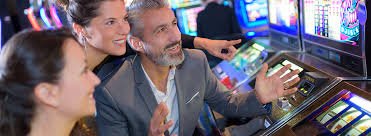 poling togel promotion dashboard